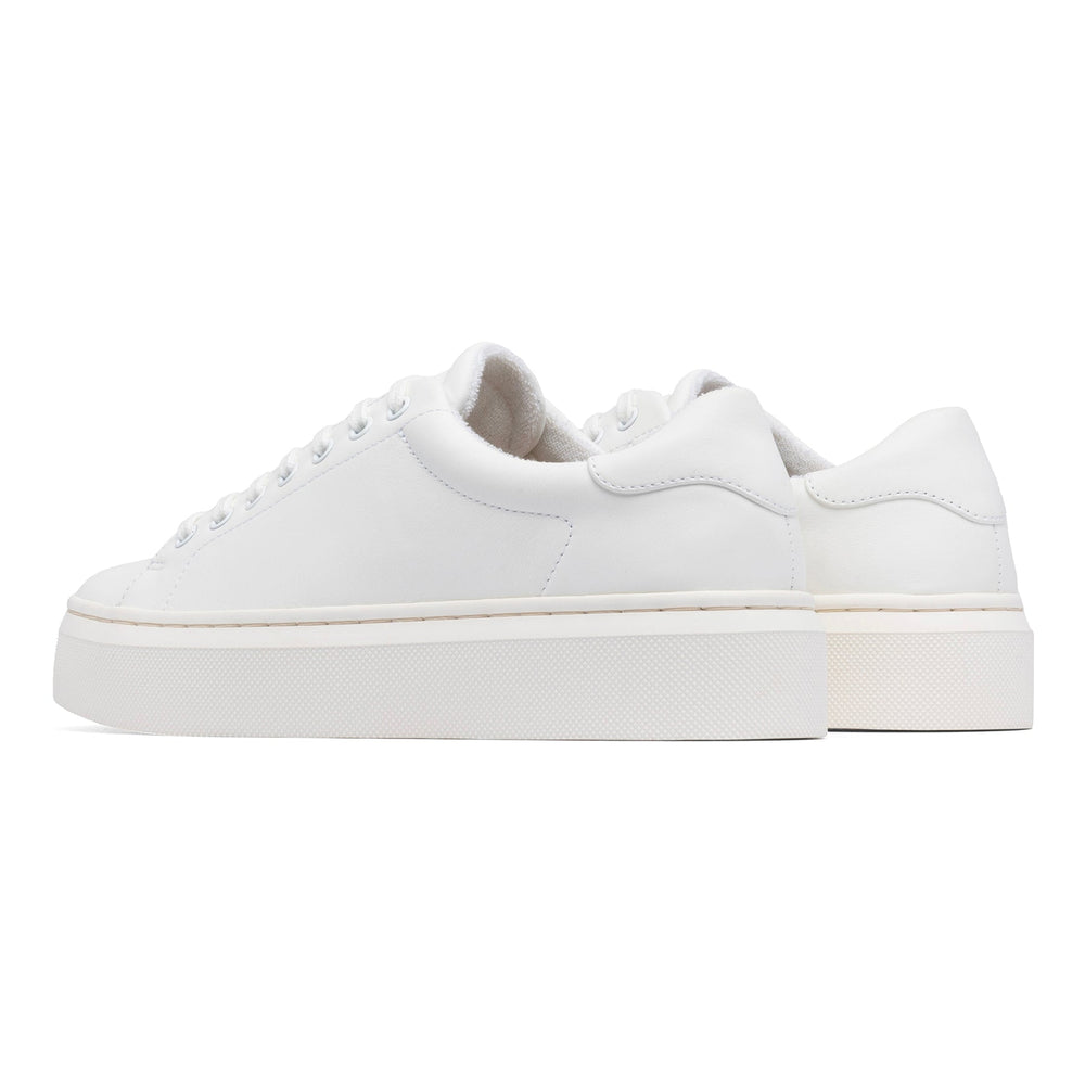 Jumpstreet Sneaker | ABEO Footwear