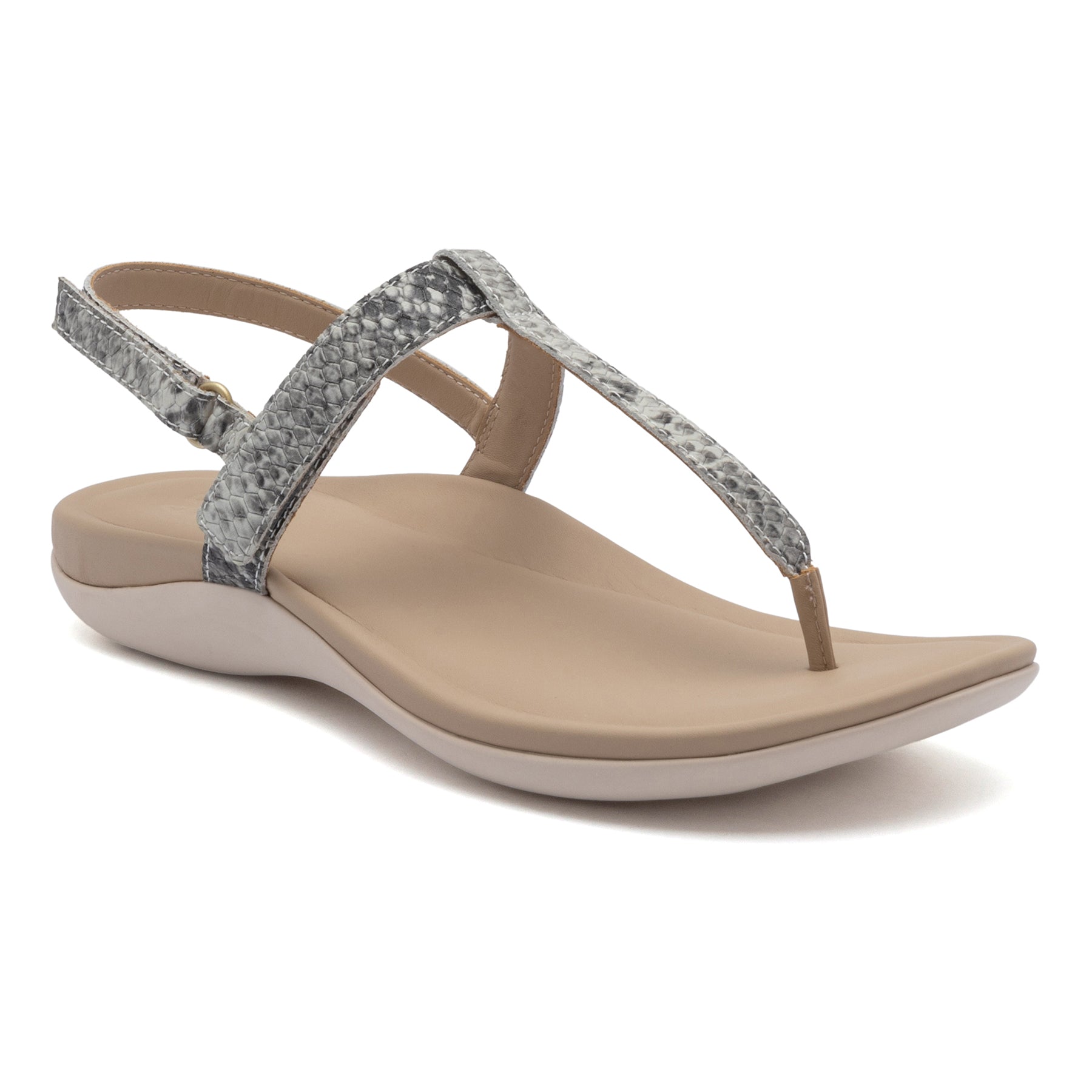 Oasis T Strap | ABEO Footwear Outlet