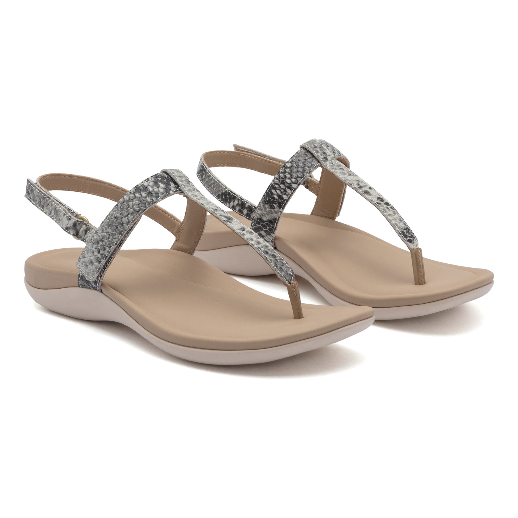 Oasis T Strap | ABEO Footwear Outlet