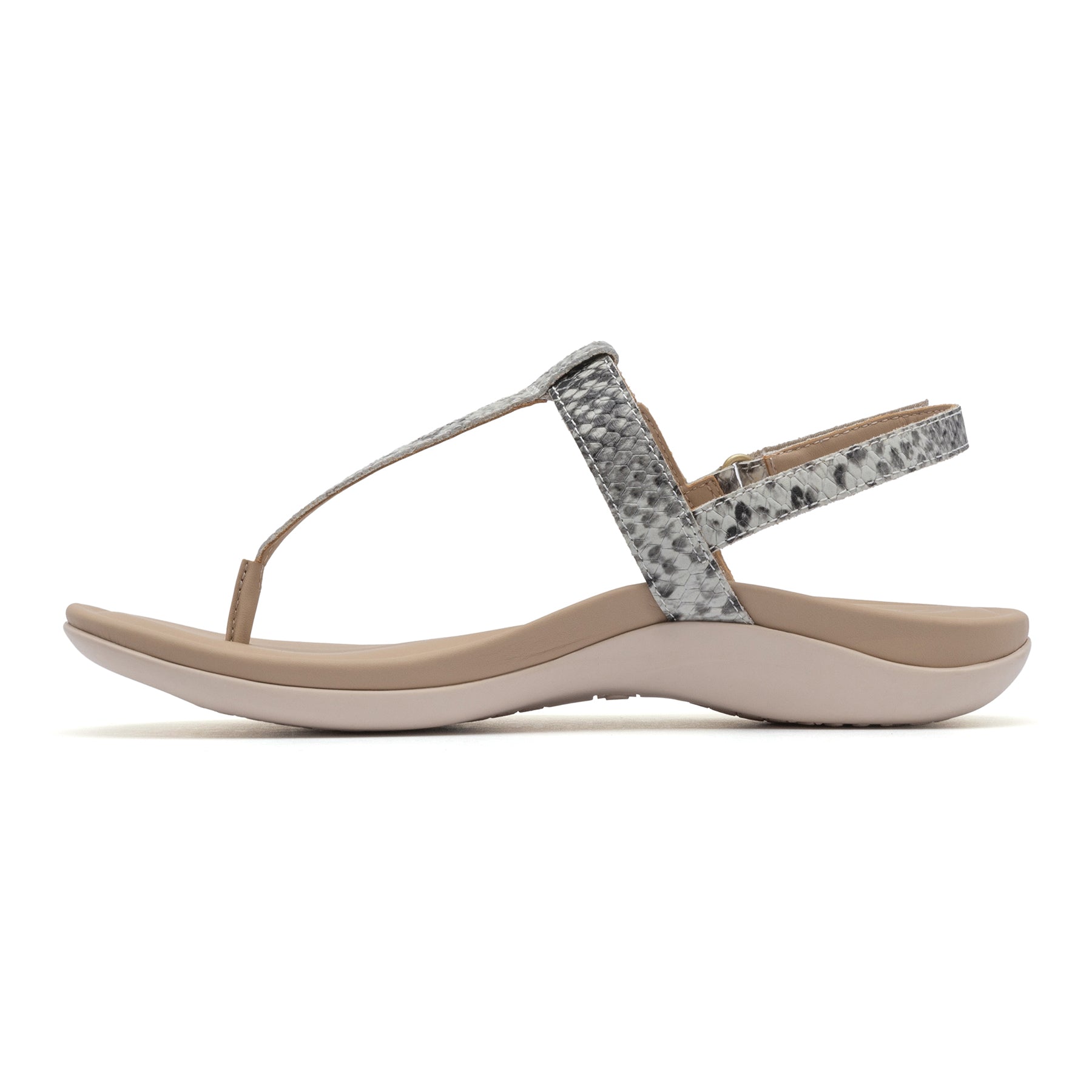 Oasis T Strap | ABEO Footwear Outlet
