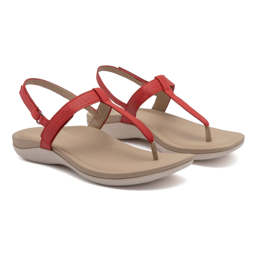 Oasis T Strap | ABEO Footwear Sale