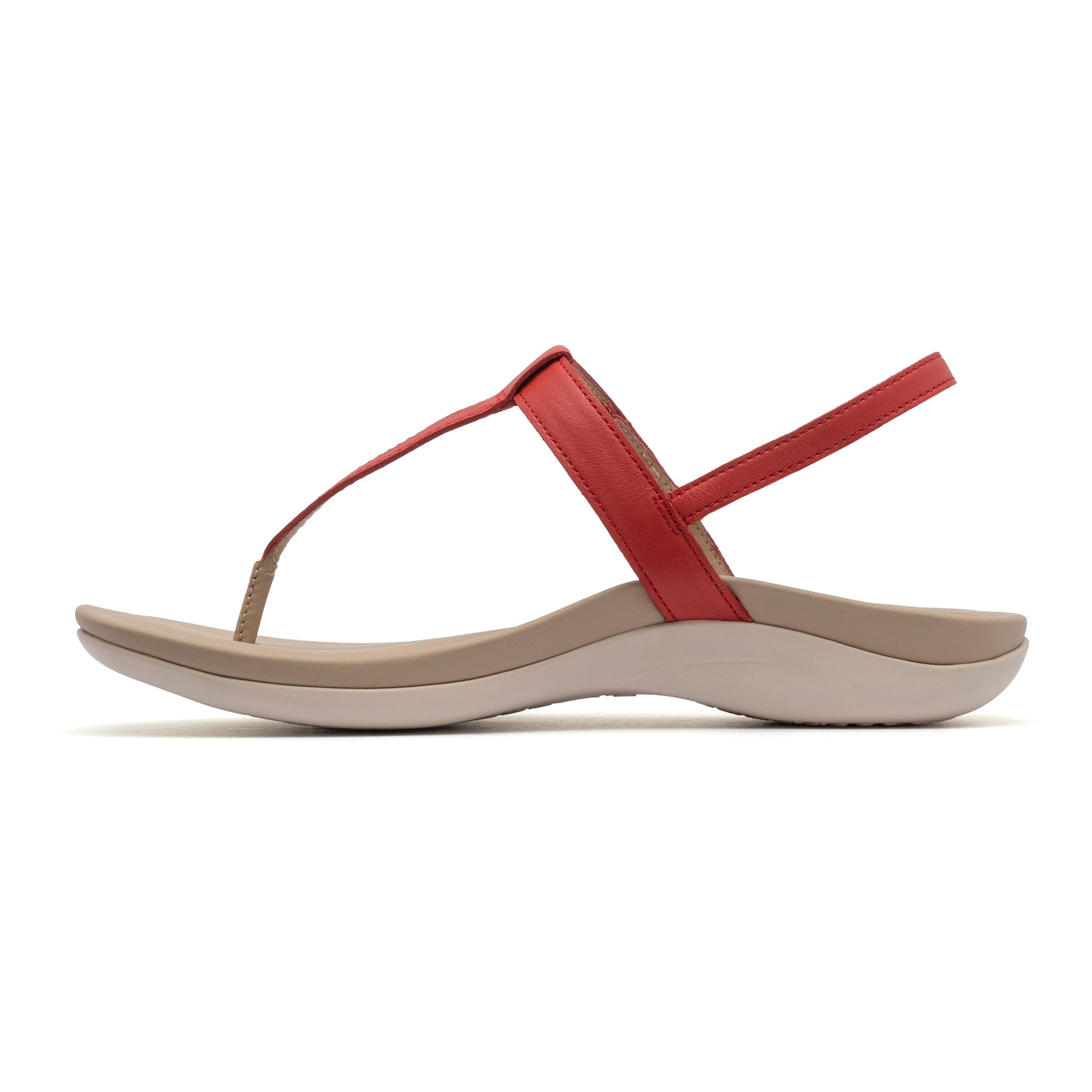 Oasis T Strap | ABEO Footwear Sale