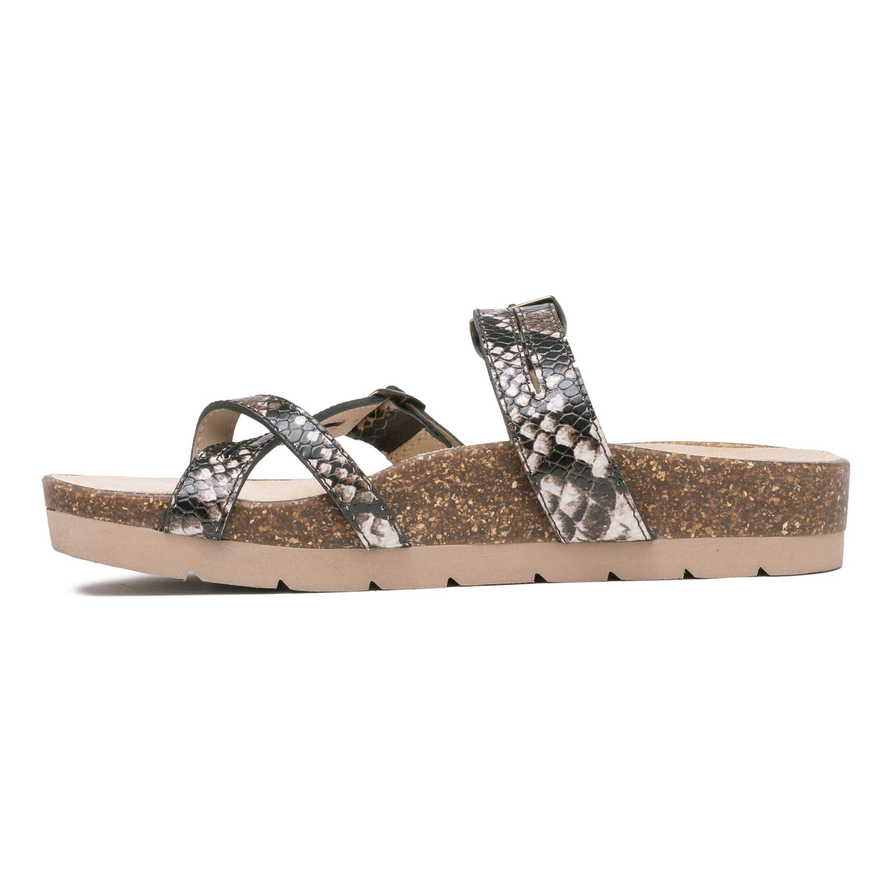 Lanai Thong Sandal | ABEO Footwear On Sale