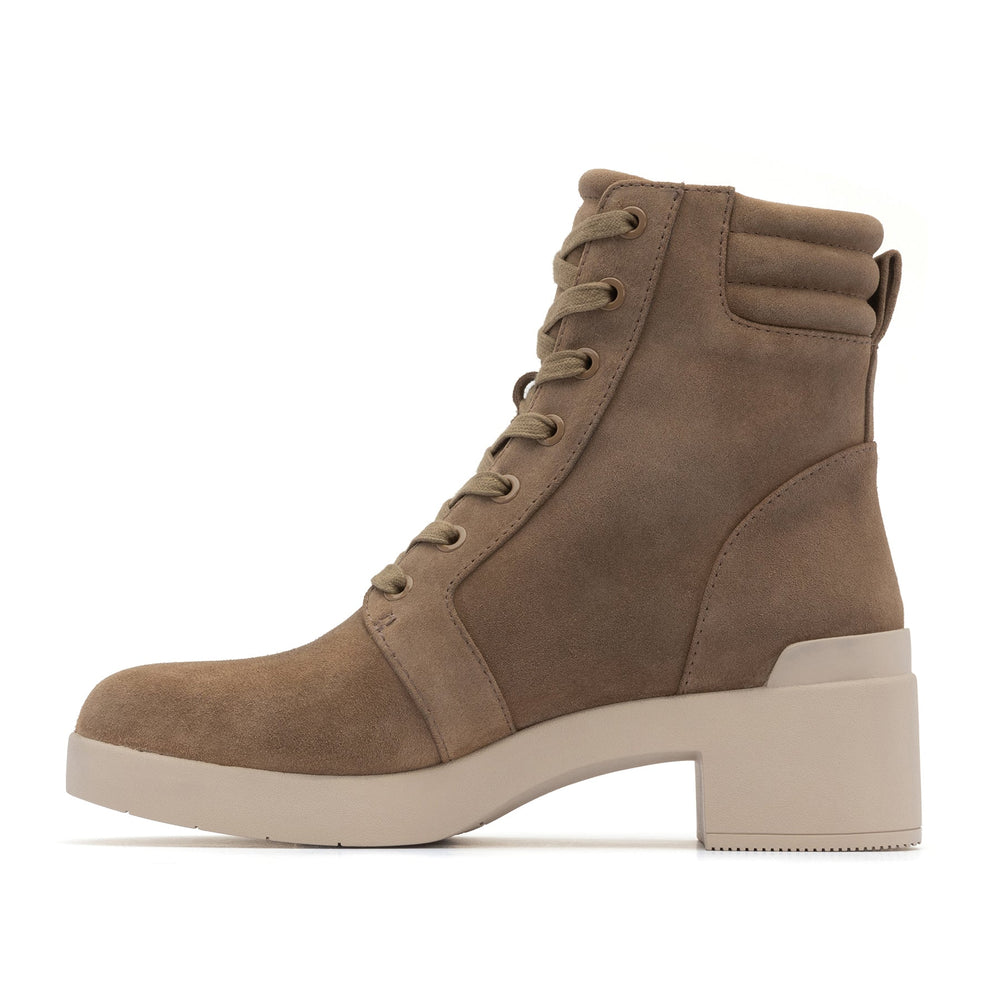 Capital Lace | ABEO Footwear Outlet
