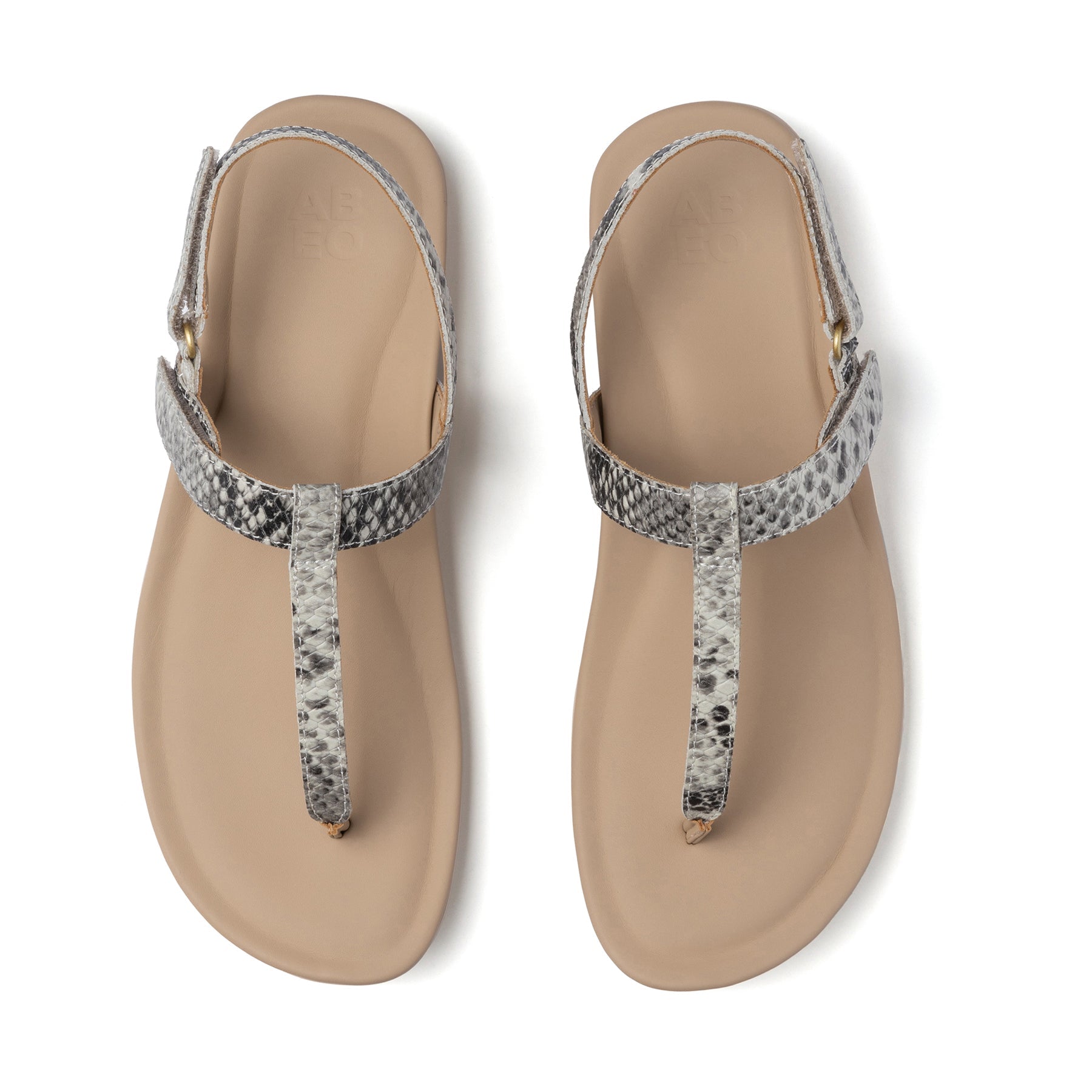 Oasis T Strap Metatarsal | ABEO Footwear Sale
