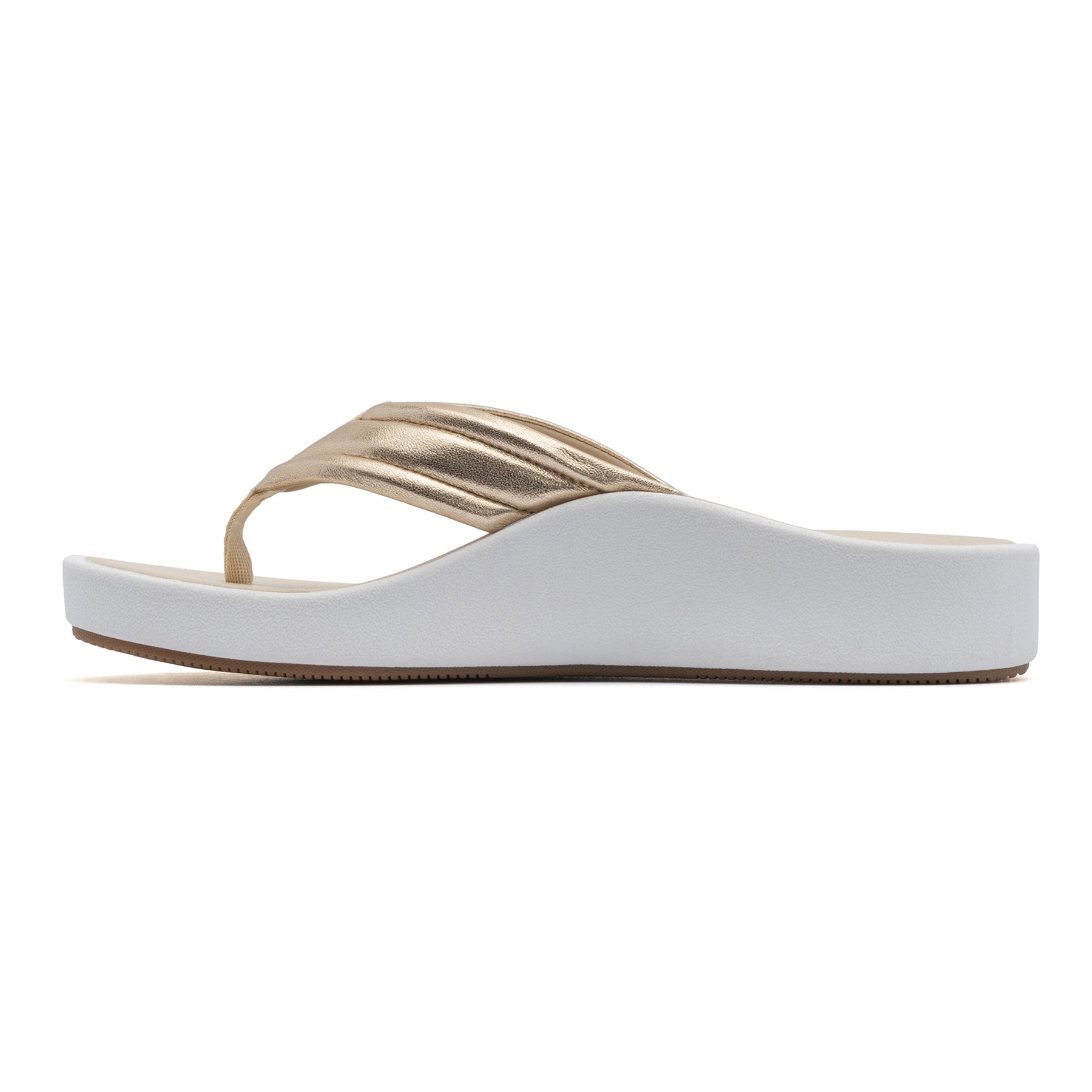 Paseo Thong Sandal | ABEO Footwear Online
