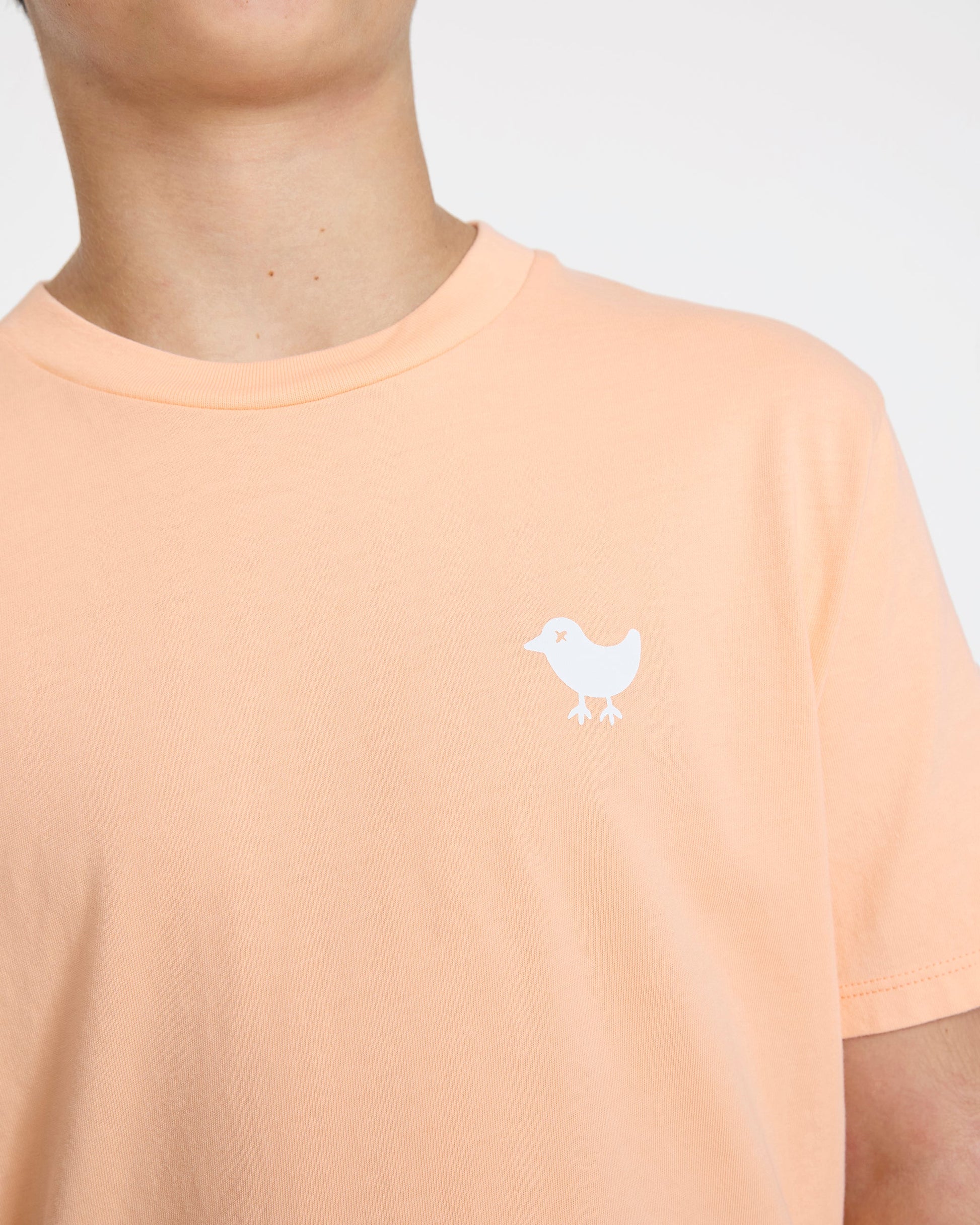 Bad Birdie Youth Bad Tee - Prairie Sunset